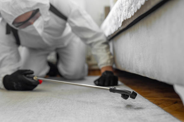 Professional Pest Control technician working in Drum Point, MD