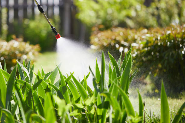 24/7 Emergency Pest Control experts in Drum Point, MD