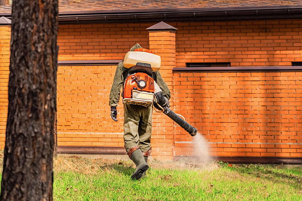 Top rated local Pest Control specialists in Drum Point, MD